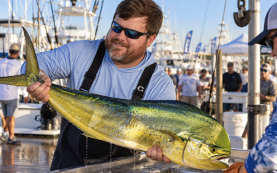 Gulf Coast Fishing & Tournament Involvement.